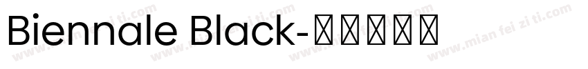 Biennale Black字体转换